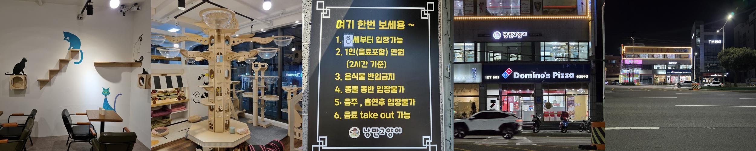 울산 고양이카페 베스트 추천 TOP 6