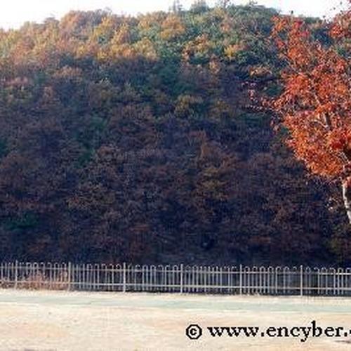 달서구 가볼만한곳 베스트 추천 TOP 10