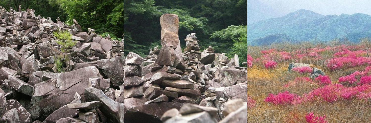 비슬산: 대구 달성군의 아름다운 명산