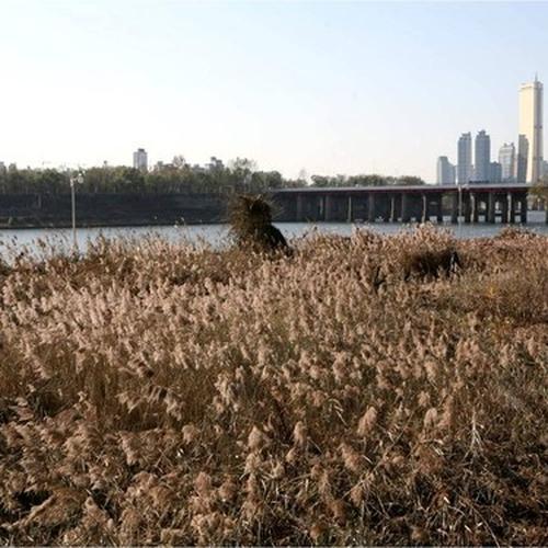 한국 가볼만한곳 베스트 추천 TOP 10 한국 가볼만한곳 베스트 추천 TOP 10