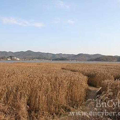 한국 가볼만한곳 베스트 추천 TOP 10 한국 가볼만한곳 베스트 추천 TOP 10