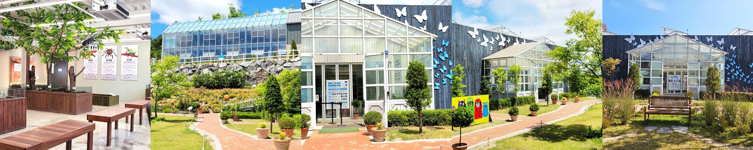 용인곤충테마파크: 다양한 곤충과 체험이 있는 공간