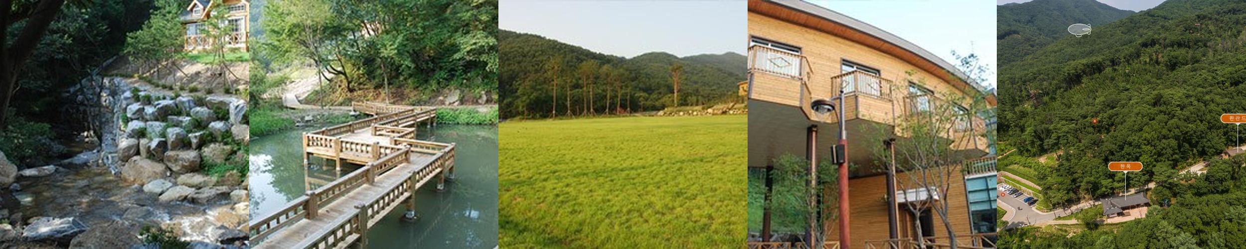 용인자연휴양림: 자연과 함께하는 힐링 공간 용인자연휴양림: 자연과 함께하는 힐링 공간