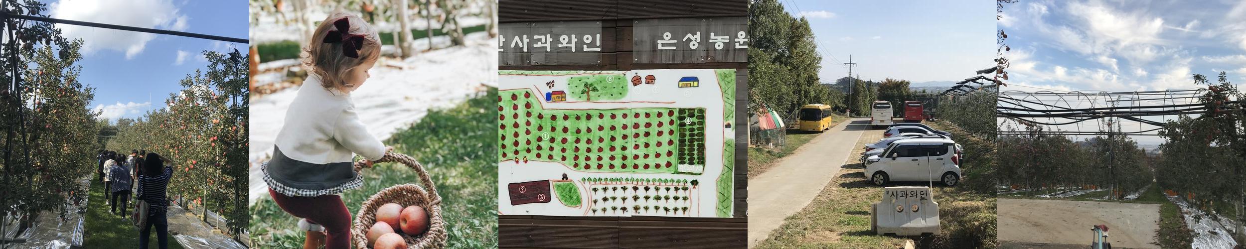 예산 갈만한곳 베스트 추천 TOP 10