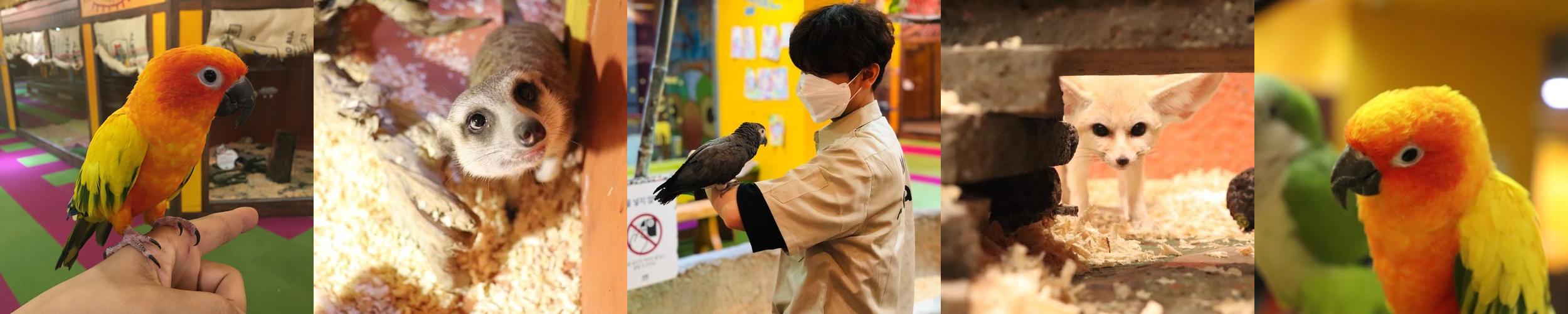 헬로애니멀 광주점: 아이들과 함께하는 실내 동물원