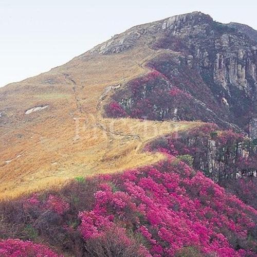 경상남도 가볼만한곳 베스트 추천 TOP 10