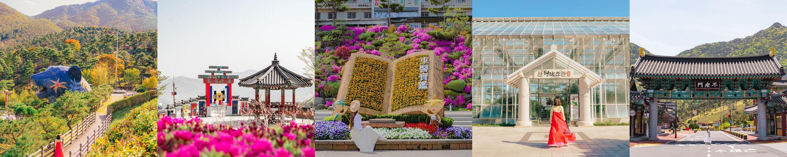 동의보감촌: 한방 테마의 건강 관광단지