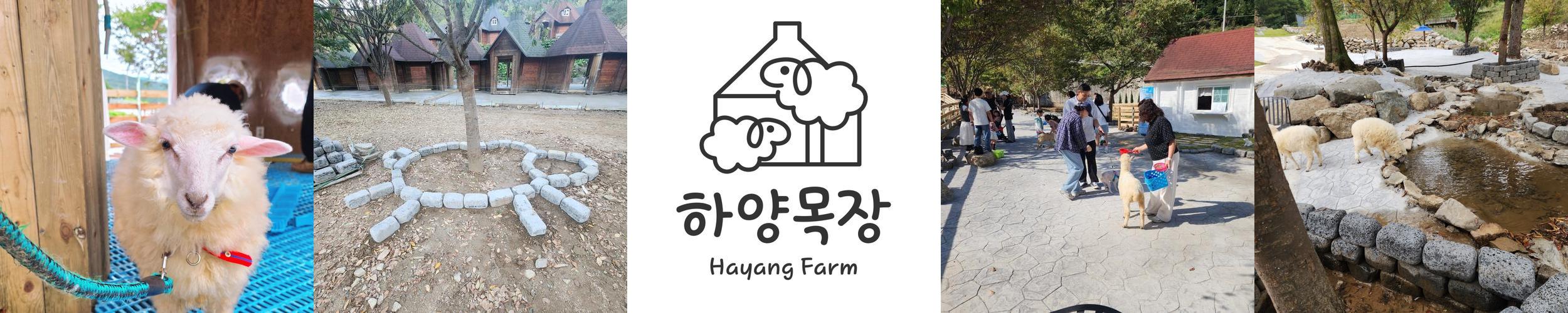 하양목장: 다양한 동물과의 특별한 체험