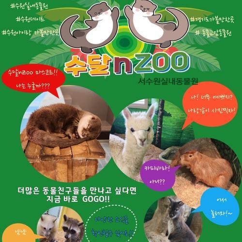 수달앤쥬: 다양한 동물과의 교감 경험