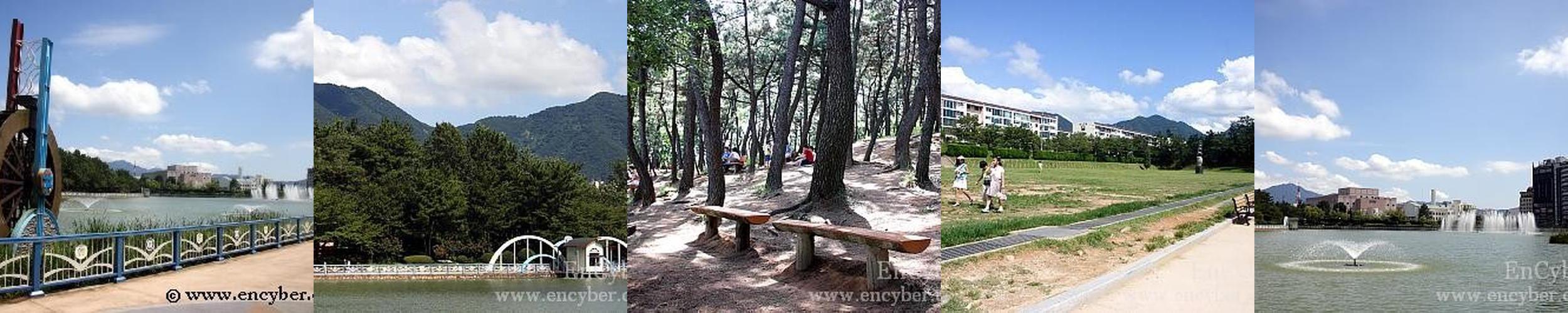 용지공원: 도심 속 자연과 여유