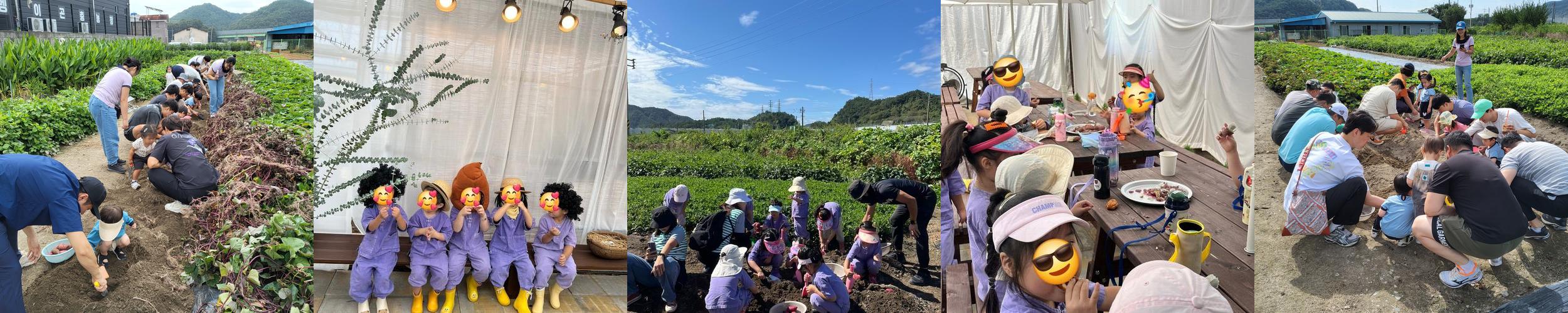 꿈드랑 창원꽃벵이곤충농장: 곤충 체험과 교육의 공간