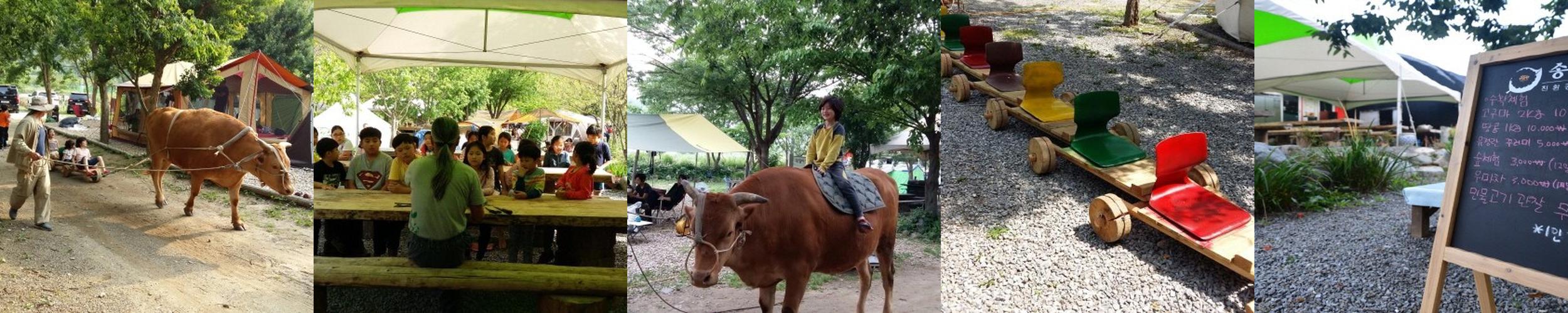 소소리농장: 자연과 함께하는 즐거운 체험