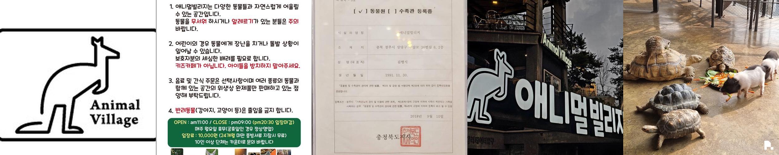 애니멀빌리지: 청주 실내 동물원에서의 특별한 경험
