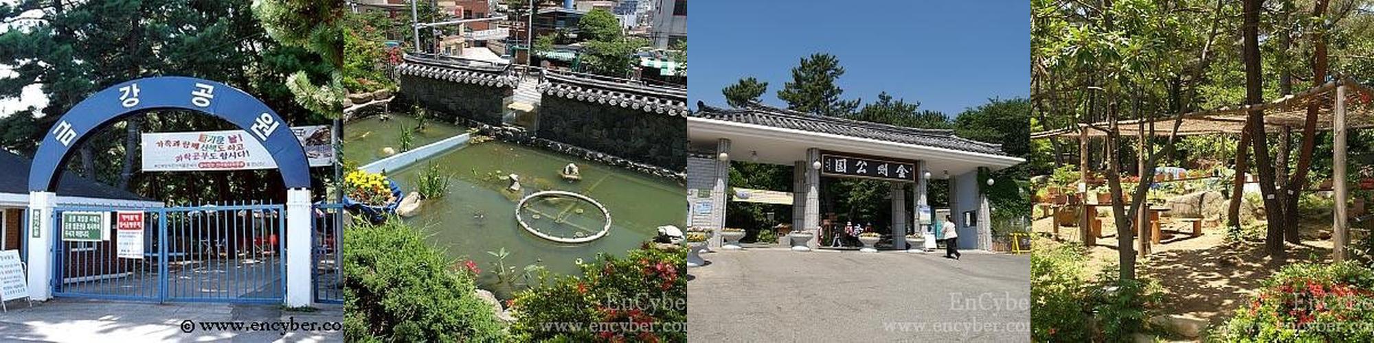 금강공원: 도심 속 힐링 공간