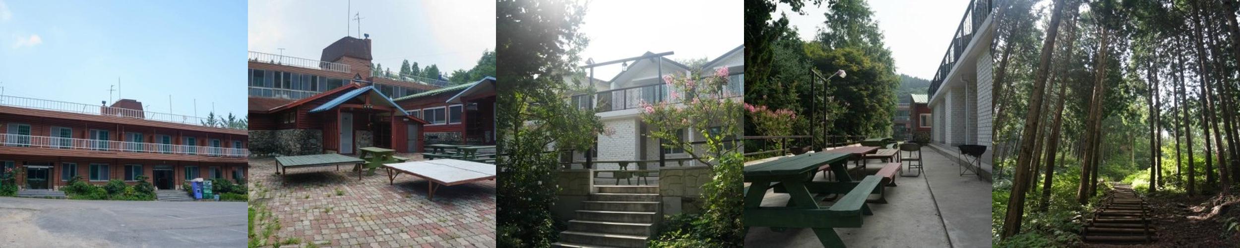 무등산편백자연휴양림: 편백숲에서의 힐링