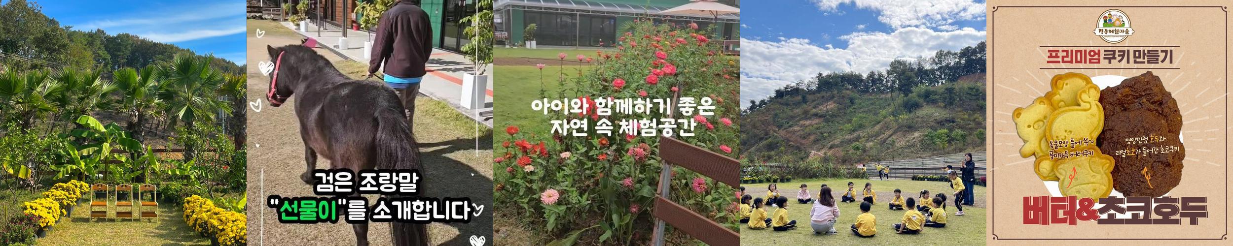 세종 갈만한곳 베스트 추천 TOP 10