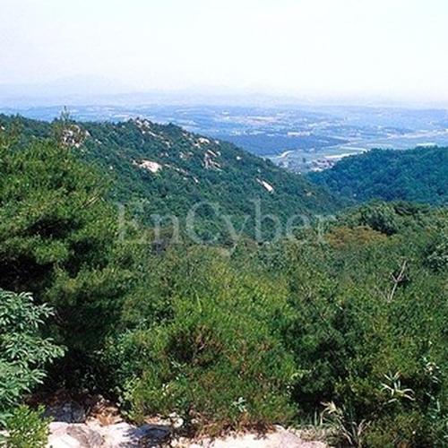 충남 홍성 가볼만한곳 베스트 추천 TOP 10