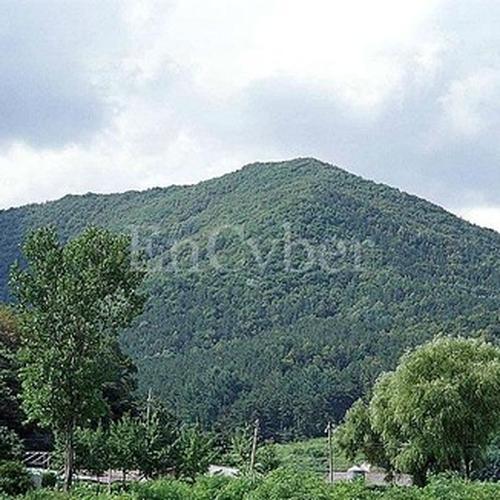 광교산: 자연과 함께하는 편안한 등산로