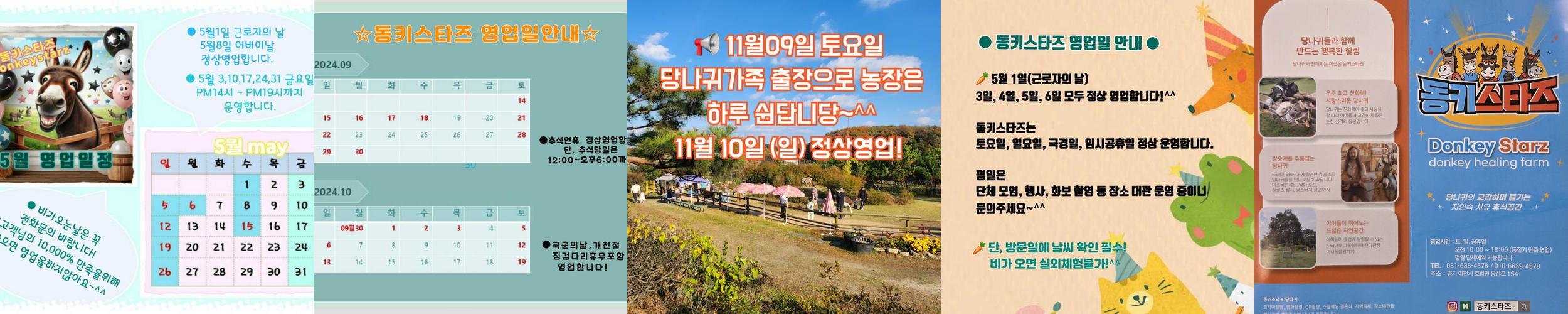 동키스타즈: 아이들과의 특별한 동물 체험 공간 동키스타즈: 아이들과의 특별한 동물 체험 공간