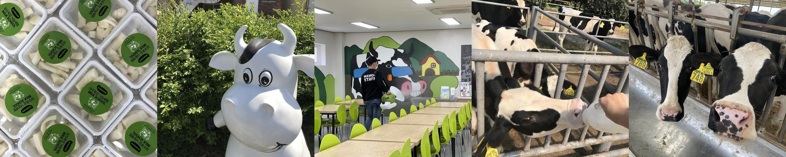 와우목장: 아이들과 함께하는 즐거운 농장 체험