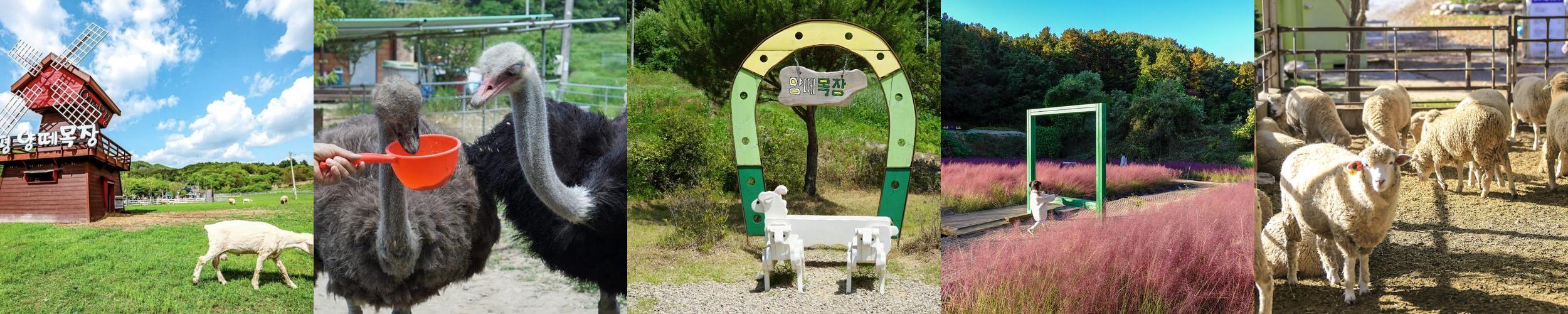 양평 갈만한곳 베스트 추천 TOP 10