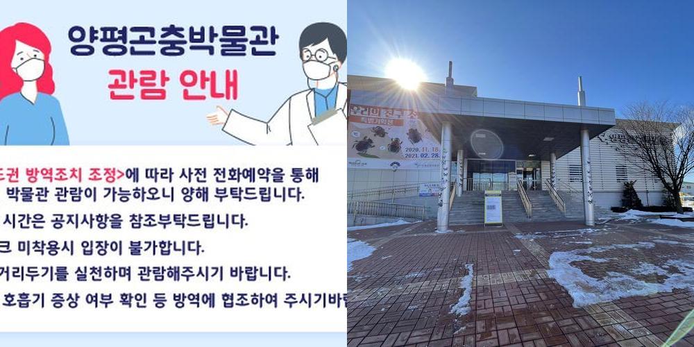 양평곤충박물관: 다양한 곤충과의 만남