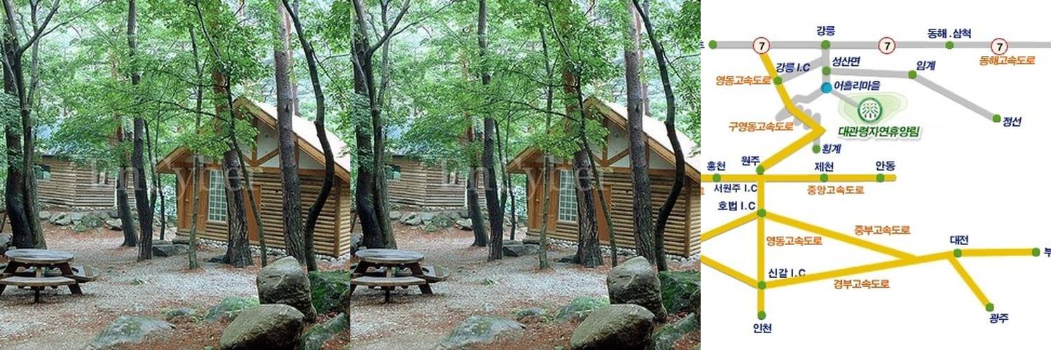 대관령자연휴양림: 자연 속에서의 편안한 휴식