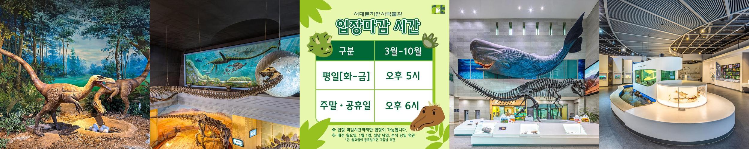 서대문자연사박물관: 아이들과 함께하는 자연 탐험