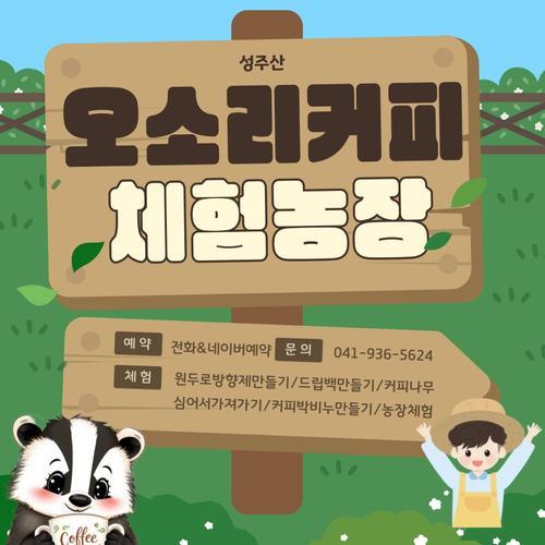 보령 가볼만한곳 베스트 추천 TOP 10
