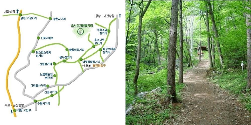 오서산자연휴양림: 자연 속에서의 편안한 휴식