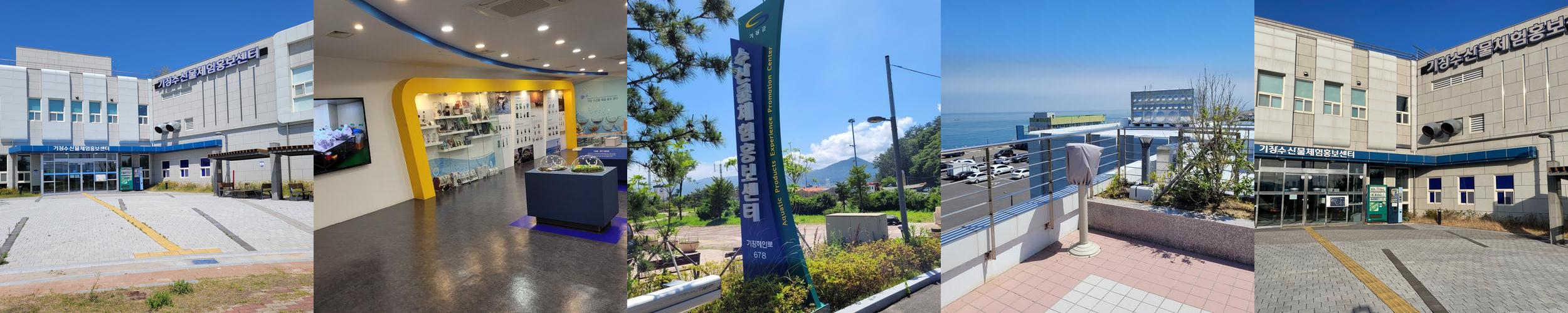 기장수산물체험홍보센터: 해양 생물과의 만남
