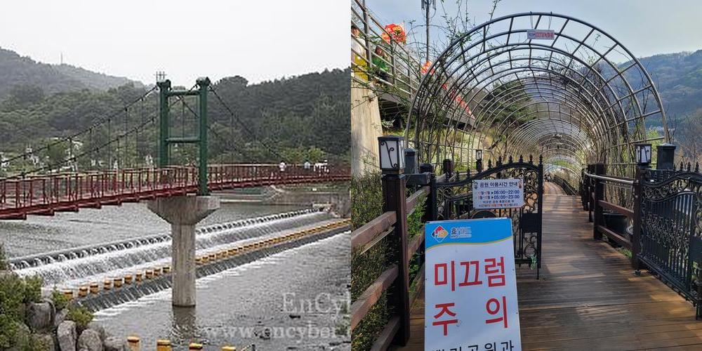 뿌리공원: 대전의 자연과 문화가 어우러진 공간