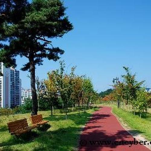 대전 놀러갈만한곳 베스트 추천 TOP 10