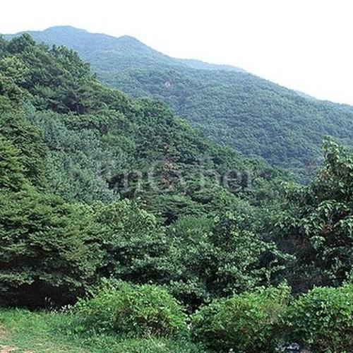 과천 놀거리 베스트 추천 TOP 10 과천 놀거리 베스트 추천 TOP 10