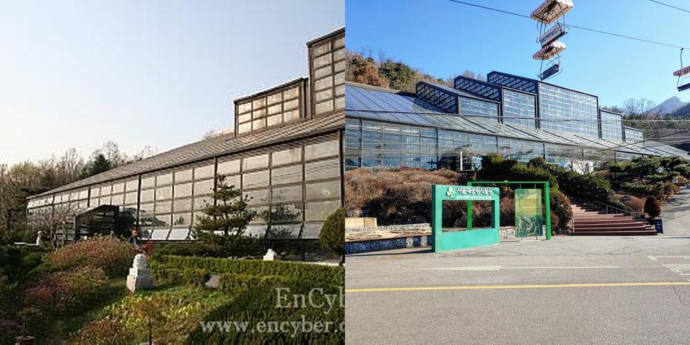 서울대공원 식물원: 자연과 함께하는 힐링 공간