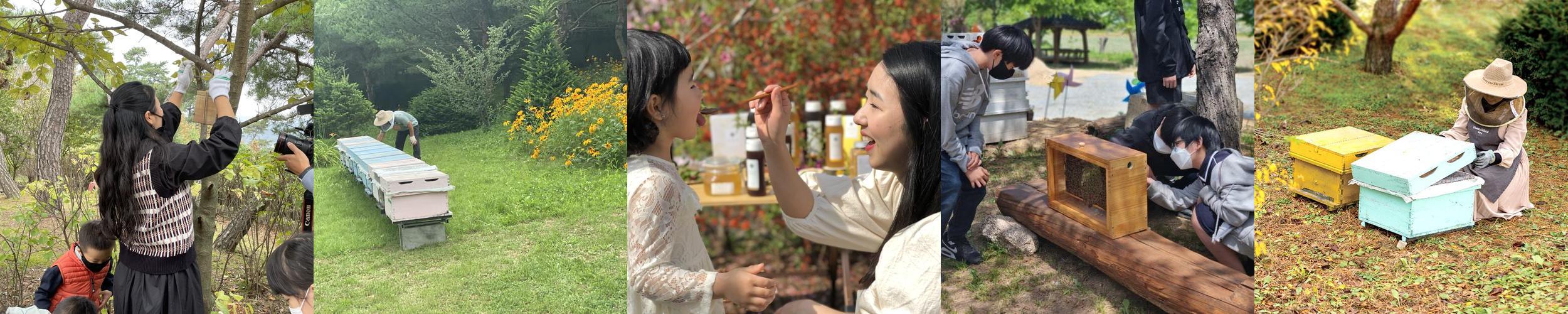 해밀당: 가족과 함께하는 다양한 체험의 공간