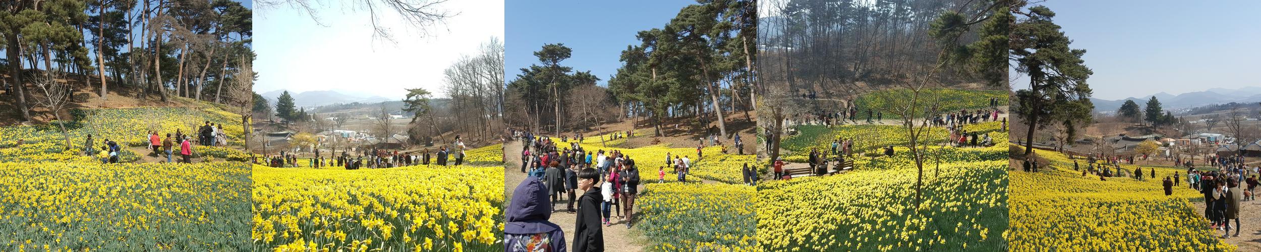 태안반도 가볼만한곳 베스트 추천 TOP 10