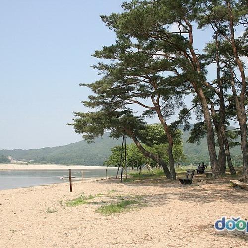 안동 놀거리 베스트 추천 TOP 10 안동 놀거리 베스트 추천 TOP 10