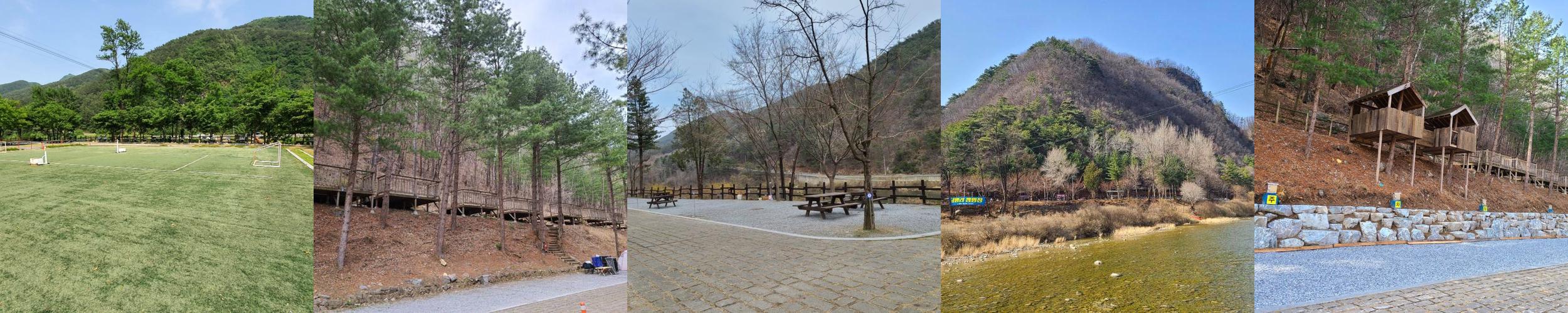 귤암리 캠핑장: 자연과 조화로운 캠핑 공간