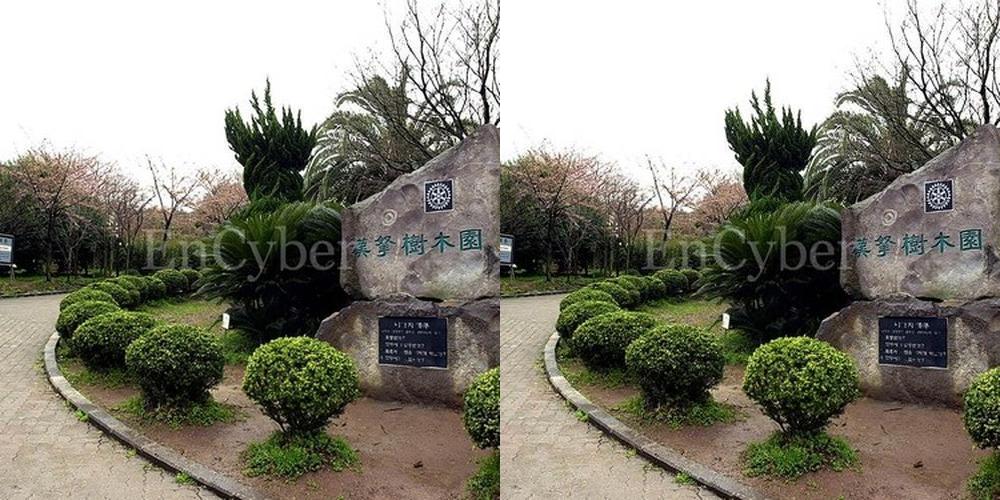 한라수목원: 제주 자연을 만끽하는 공간 한라수목원: 제주 자연을 만끽하는 공간