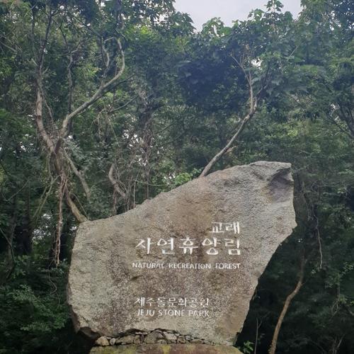 제주 조천 가볼만한곳 베스트 추천 TOP 10