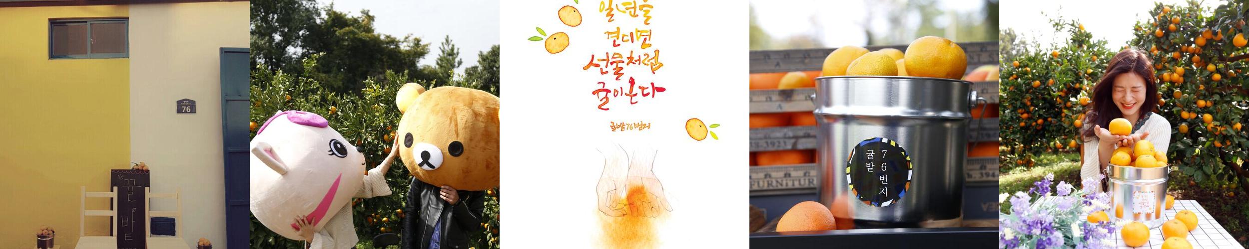 제주도 놀거리 베스트 추천 TOP 10