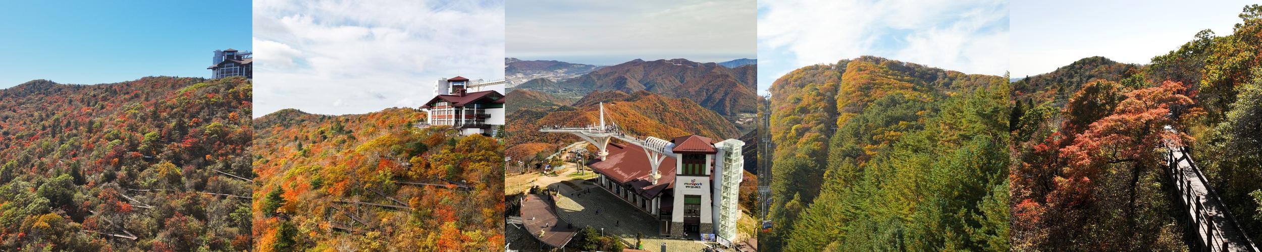 발왕산 관광케이블카: 자연과 함께하는 힐링 공간