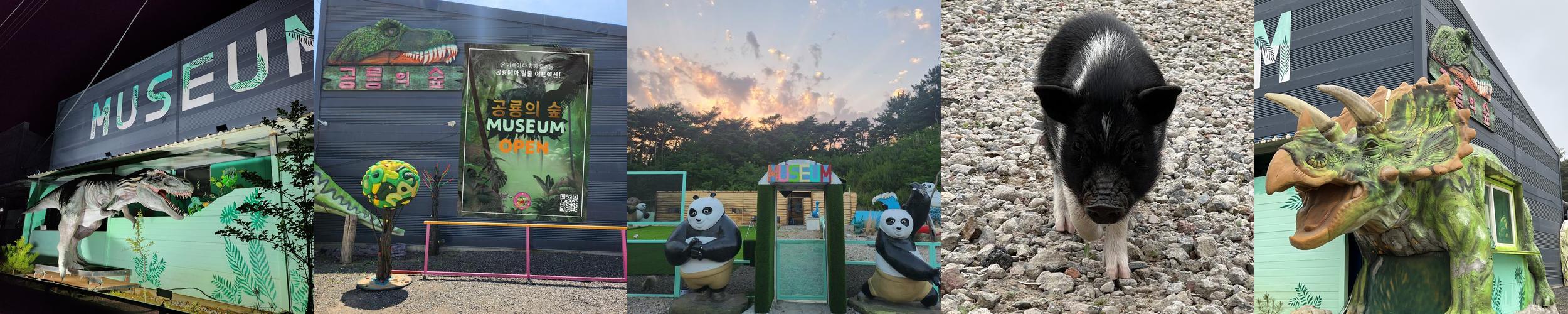 공룡의 숲 뮤지엄: 보령에서 공룡을 만나는 경험|충남 보령 가볼만한곳 추천 공룡의 숲 뮤지엄: 보령에서 공룡을 만나는 경험