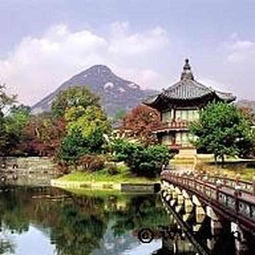 경복궁 향원정: 고요한 자연과 역사적 아름다움의 조화