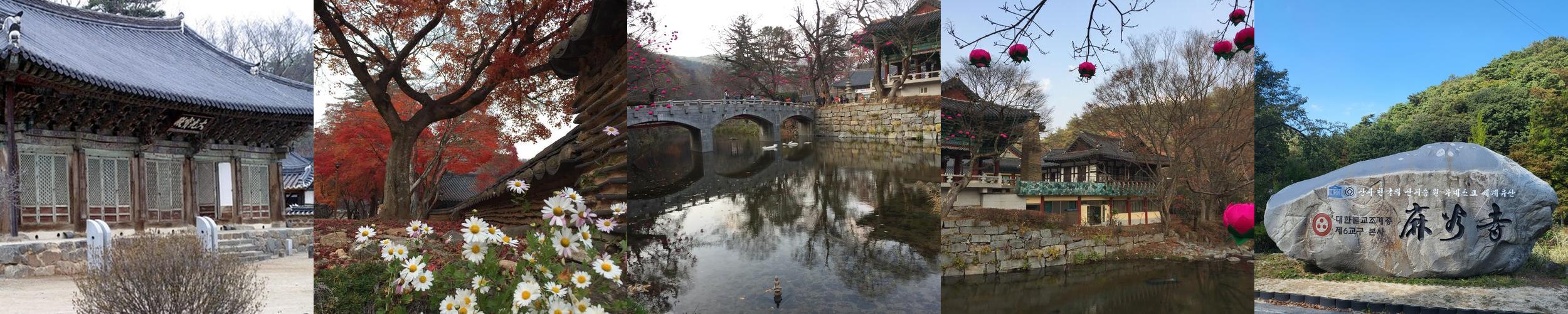 마곡사: 천년 고찰의 아름다움과 역사