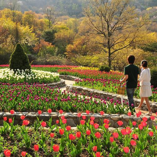 고운식물원: 자연과 인공미의 조화