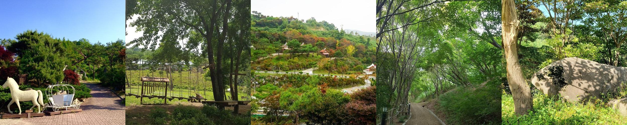이안숲속: 가족과 함께 힐링하는 자연 체험 공간