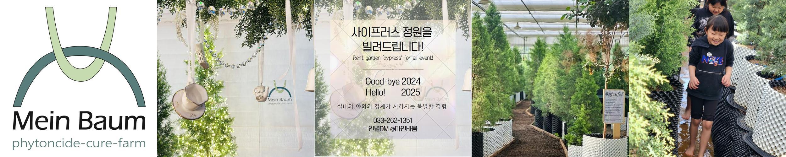 강촌 놀거리 베스트 추천 TOP 10