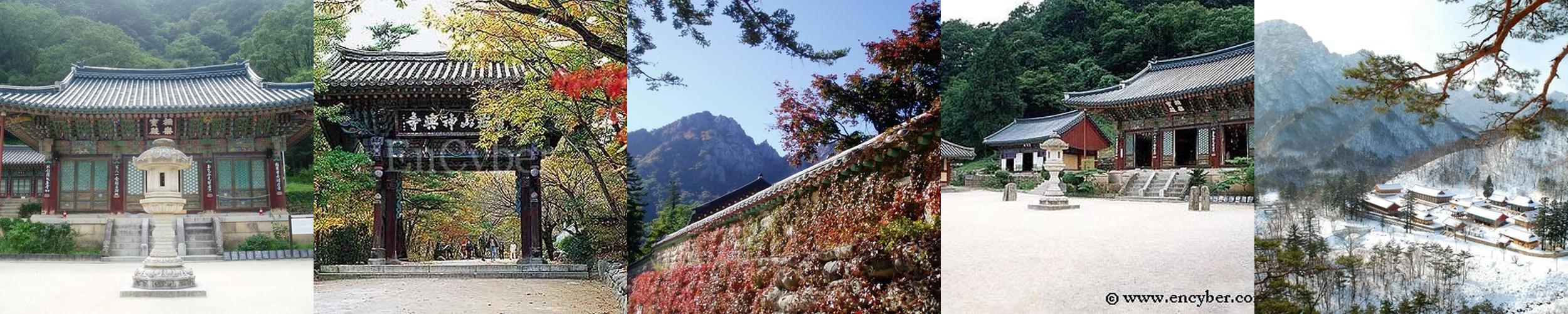 신흥사: 설악산 국립공원 내의 평화로운 사찰